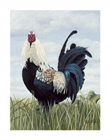 Big Bad Billy Fine Art Print