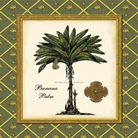 Banana Palm (Green) Fine Art Print