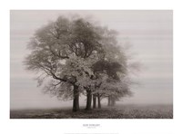 Harmony in Fog by Igor Svibilsky - 30" x 22"