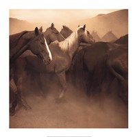 Remuda, Spanish Ranch by Adam Jahiel - 28" x 28"