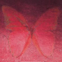 Red Butterfly Fine Art Print