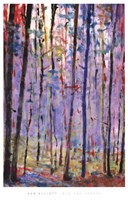 Into Forest Fine Art Print