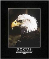 Focus Fine Art Print