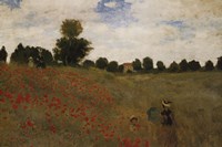 Poppies Fine Art Print