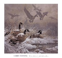 Winter Retreat (detail) Fine Art Print