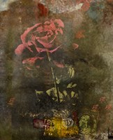 Classic Rose I Fine Art Print