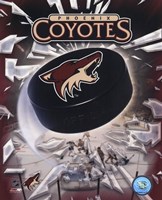 Phoenix Coyotes 2005 - Logo / Puck Fine Art Print