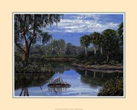Florida Wetlands Fine Art Print