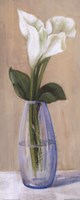 White Flower In Purple Vase Fine Art Print