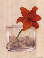 Red Flower In Bowl With Rocks Fine Art Print