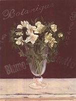 White Flowers In Glass Vase Fine Art Print