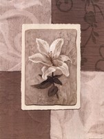 Cream Flower Fine Art Print