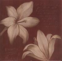 Tan Flowers II Fine Art Print