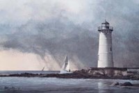 Out After The Storm Fine Art Print