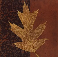 Quercus Fine Art Print