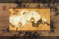 Bamboo Orchids II Fine Art Print