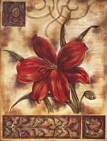 Illuminated Lily II Fine Art Print