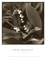 Lily Of The Valley Fine Art Print