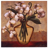 White Autumn Orchids by Shelly Bartek - 12" x 12"