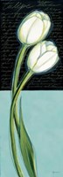 White Tulip Fine Art Print