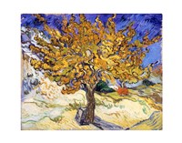 The Mulberry Tree in Autumn, 1889 by Vincent Van Gogh, 1889 - various sizes