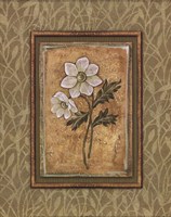 Peaceful Flowers III - Mini Fine Art Print