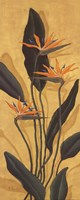 Bird Of Paradise - Mini Fine Art Print