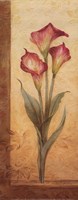 Grandiflora III - Petite Fine Art Print