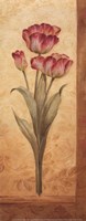 Grandiflora IV - Petite by Pamela Gladding - 4" x 10"
