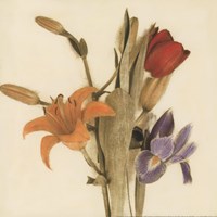 Tre Fiori III - Special by Amy Melious - 12" x 12" - $9.49