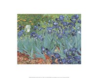 Irises in the Garden, Saint-Remy, 1889 by Vincent Van Gogh, 1889 - 14" x 11"