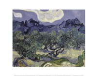 The Olive Trees, 1889 Framed Print