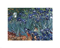 Irises in the Garden, Saint-Remy, 1889 by Vincent Van Gogh, 1889 - various sizes