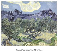 The Olive Trees, c.1889 (blue & green) Fine Art Print