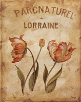 Parcnaturel III - Mini Fine Art Print