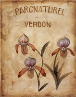 Parcnaturel IV - Mini Fine Art Print