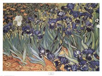 Irises in the Garden, Saint-Remy, 1889 by Vincent Van Gogh, 1889 - 36" x 26"