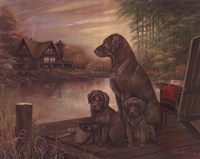 Tranquil Beauty Fine Art Print