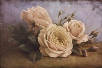 The Beauty of Sasha Fine Art Print