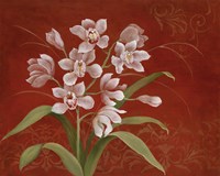 Say it with Orchids I Fine Art Print