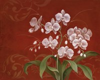 Say it with Orchids II Fine Art Print