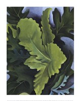 Green Oak Leaves by Georgia O'Keeffe - 11" x 14"