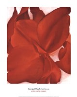 Red Cannas by Georgia O'Keeffe - 24" x 30"