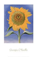 Sunflower, New Mexico, 1935 by Georgia O'Keeffe, 1935 - 24" x 36"