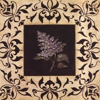 12" x 12" Lilac Pictures