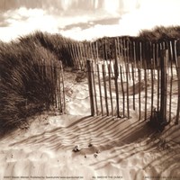 The Dunes Fine Art Print