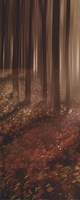 Forest in Pink I by Steven Mitchell - 8" x 20"