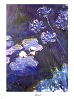 Water Lilies and Agapanthus, 1914-1917 Fine Art Print