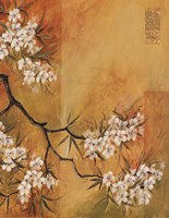 Oriental Blossoms II by Jennifer Hammond - 16" x 20" - $9.99