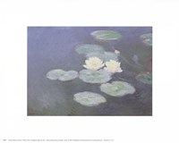 Nympheas Effet du Soir by Claude Monet - 10" x 8"